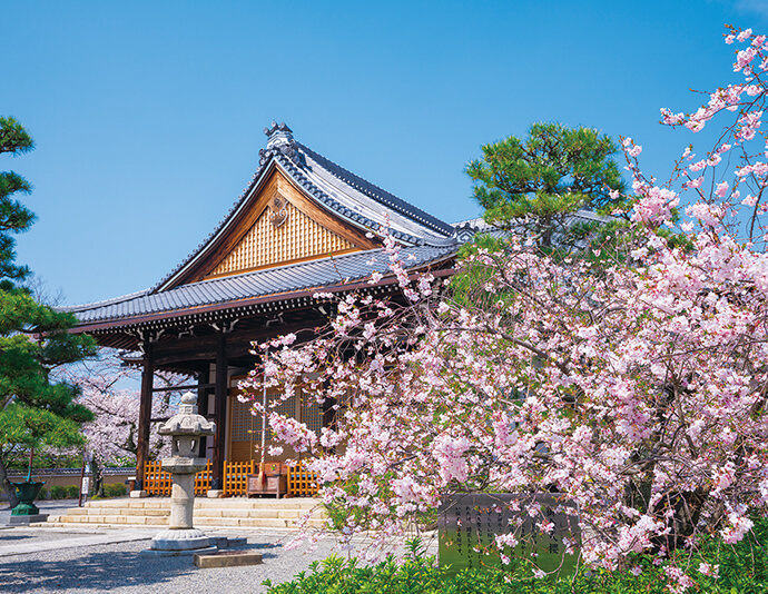 妙蓮寺（3月頃） イメージ