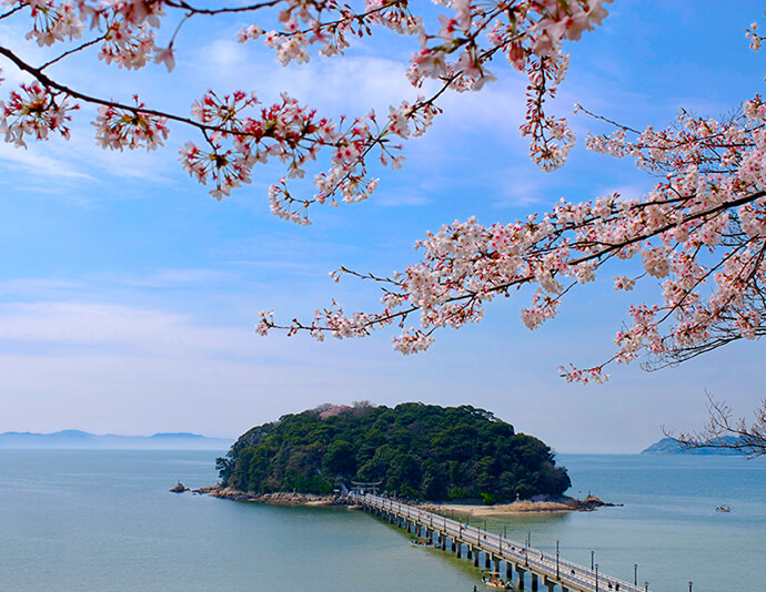 竹島（3月頃） イメージ