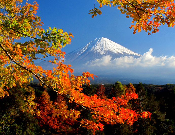 富士山 イメージ 提供:静岡県観光協会