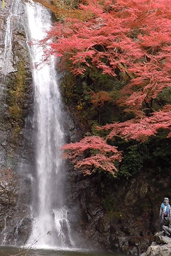 箕面公園（11月頃） イメージ