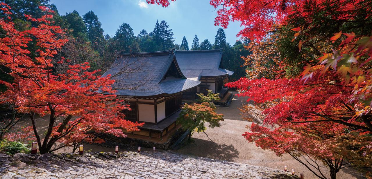 関西の紅葉7選！見頃を迎える京都の名刹＆関西の名所を訪ねる立冬の旅