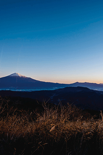 駿河湾と初日の出（1月頃） イメージ