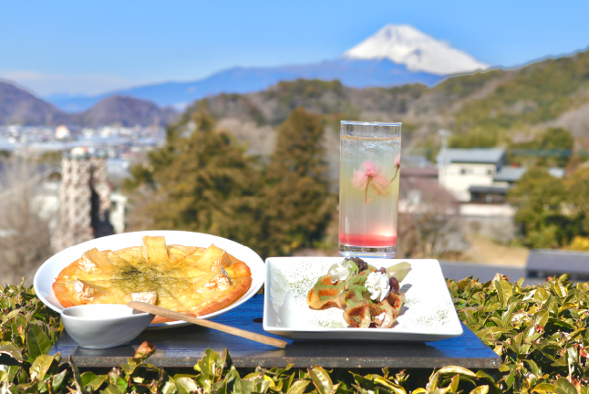 天空のビヤテラスでのお茶