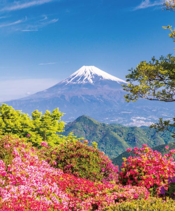 立夏 新緑を味わう静岡〜感動の景色と体験に心躍る立夏の旅
