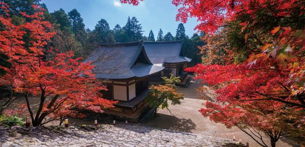 立冬 関西の紅葉7選！見頃を迎える京都の名刹＆関西の名所を訪ねる立冬の旅