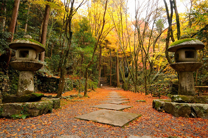 京都・高山寺 ©栂尾山 高山寺