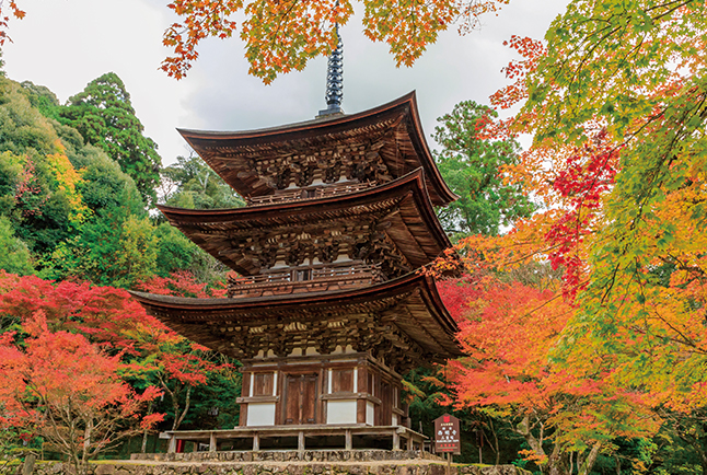 滋賀・西明寺