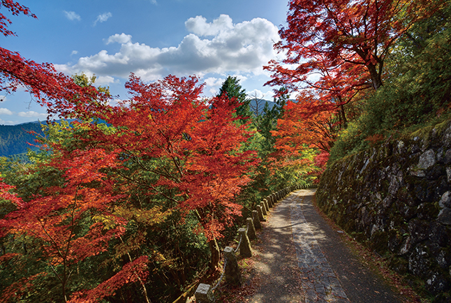 奈良・吉野山