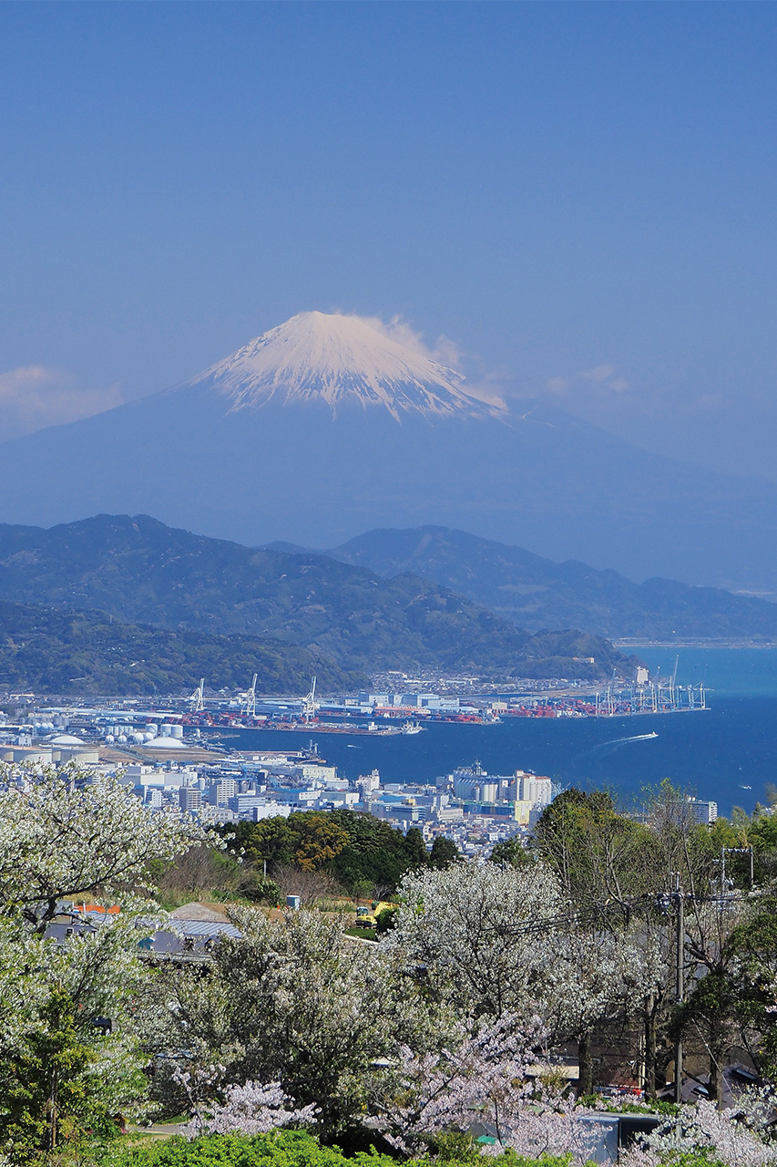 富士山と駿河湾