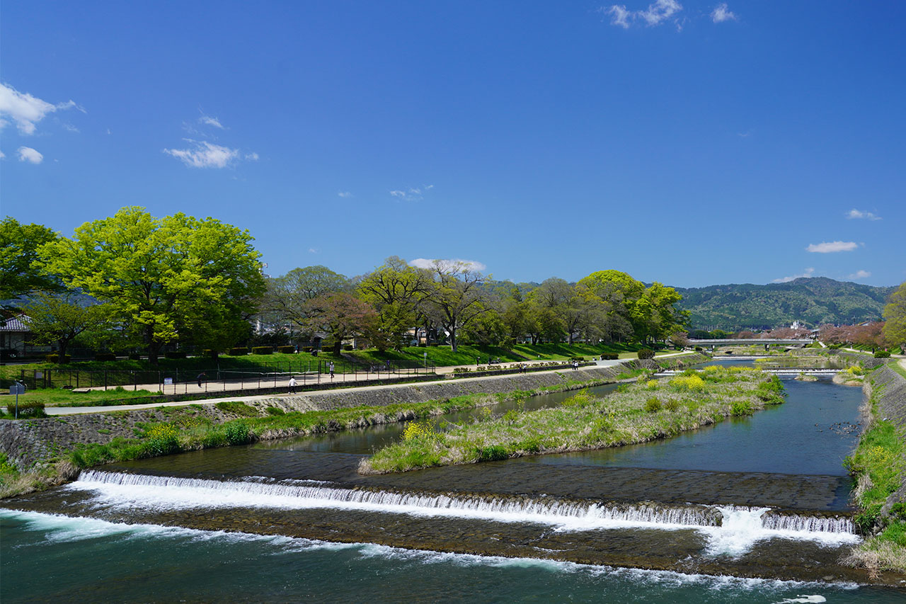 歩いて5分ほどの距離に賀茂川が流れる