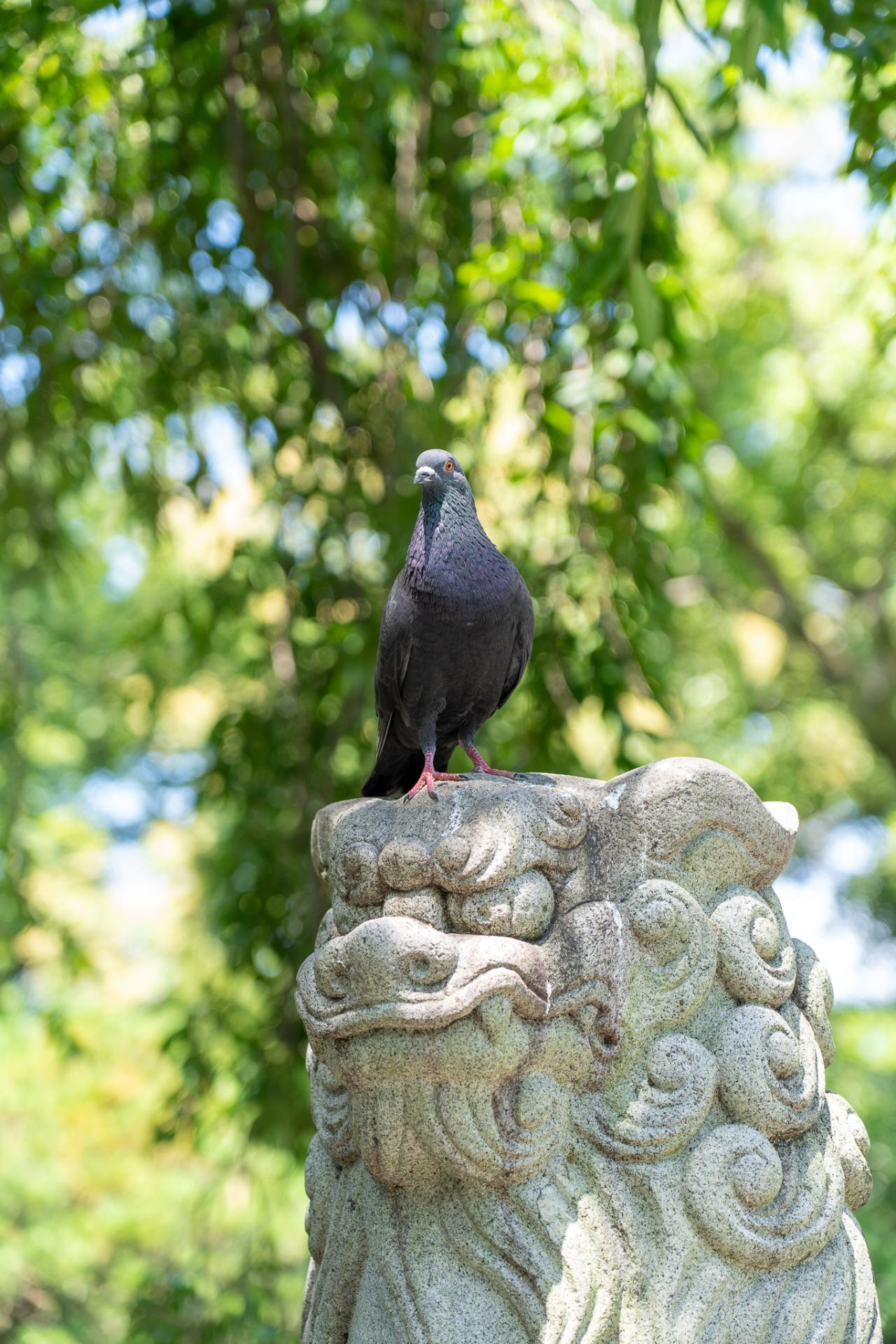 看板のインパクトに目を奪われますが、よーく見ると…