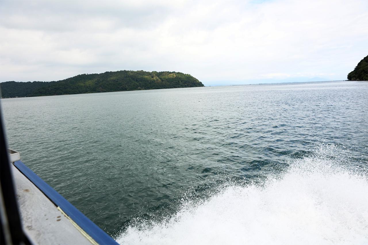 船から見る沖島は、思っていたよりも木々が生い茂る、自然豊かな島のようだ。