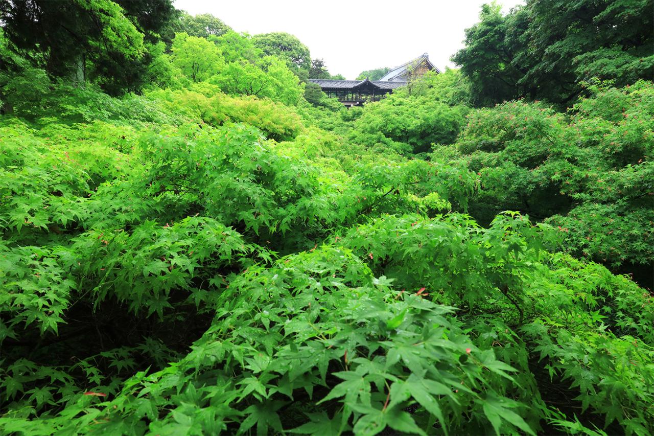 臥雲橋からの風景