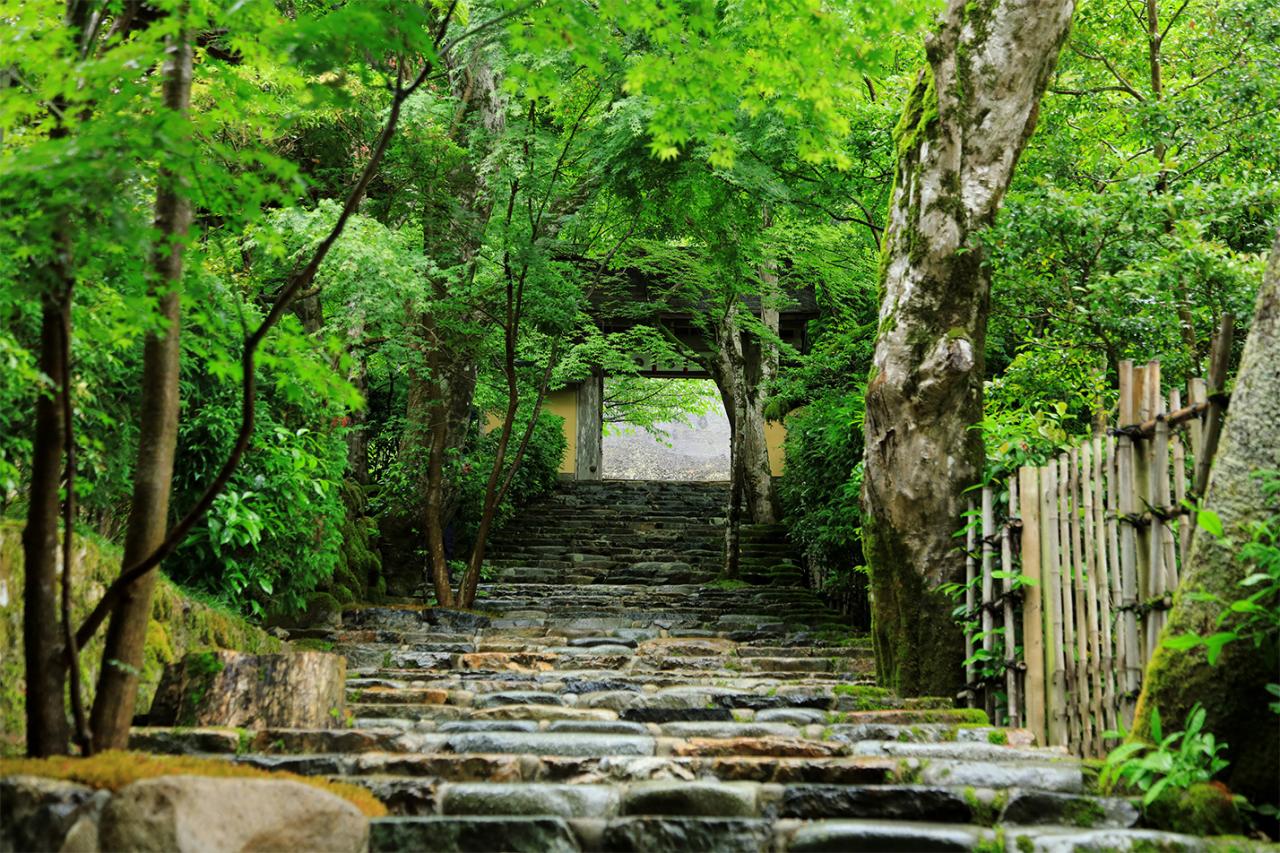 石段と山門