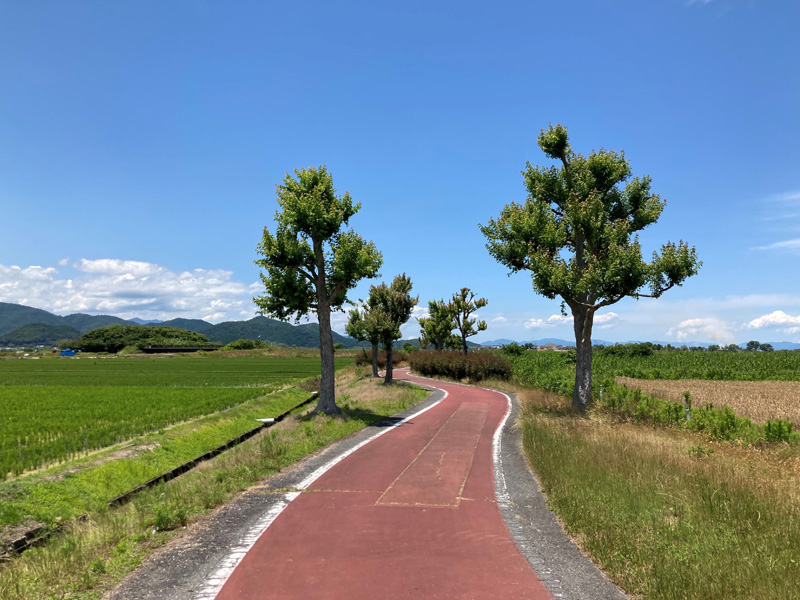 近江八幡、安土、能登川エリアをつなぐ自転車道〈びわ湖よし笛ロード〉