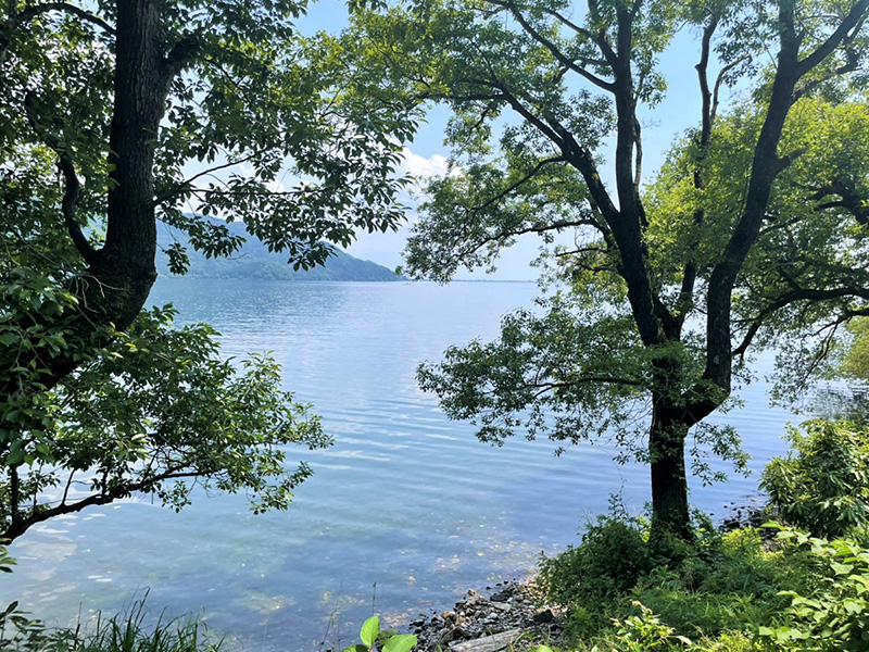 透き通った湖が美しい奥琵琶湖