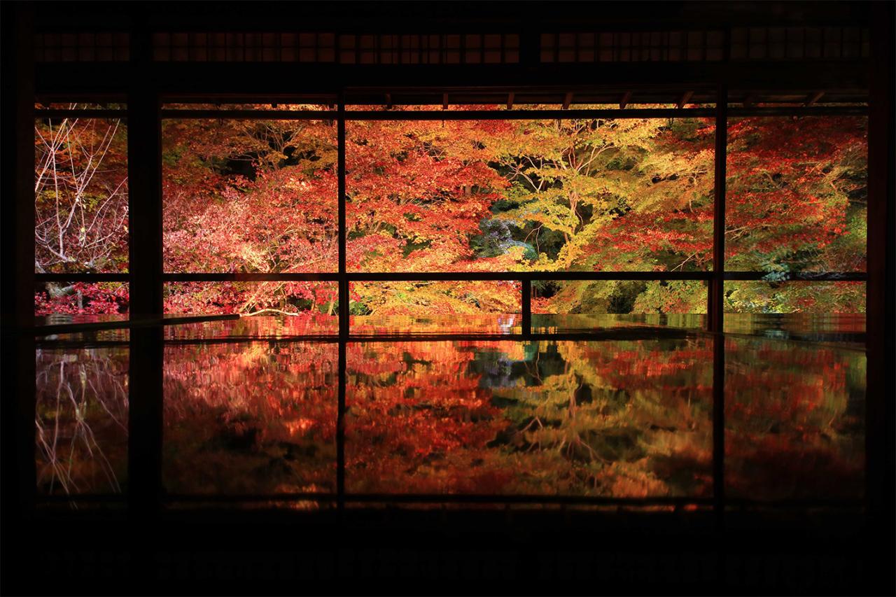 瑠璃光院