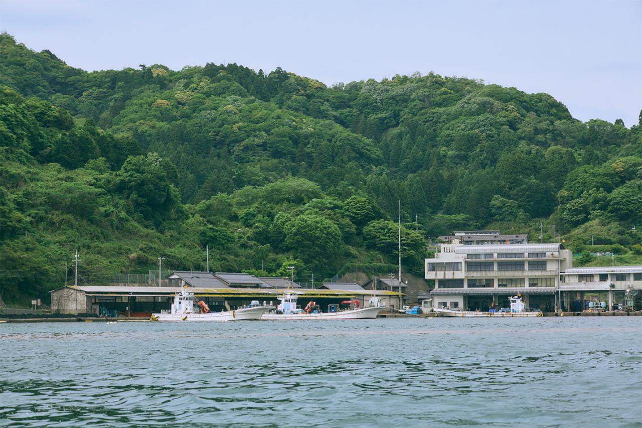 伊根町の漁港