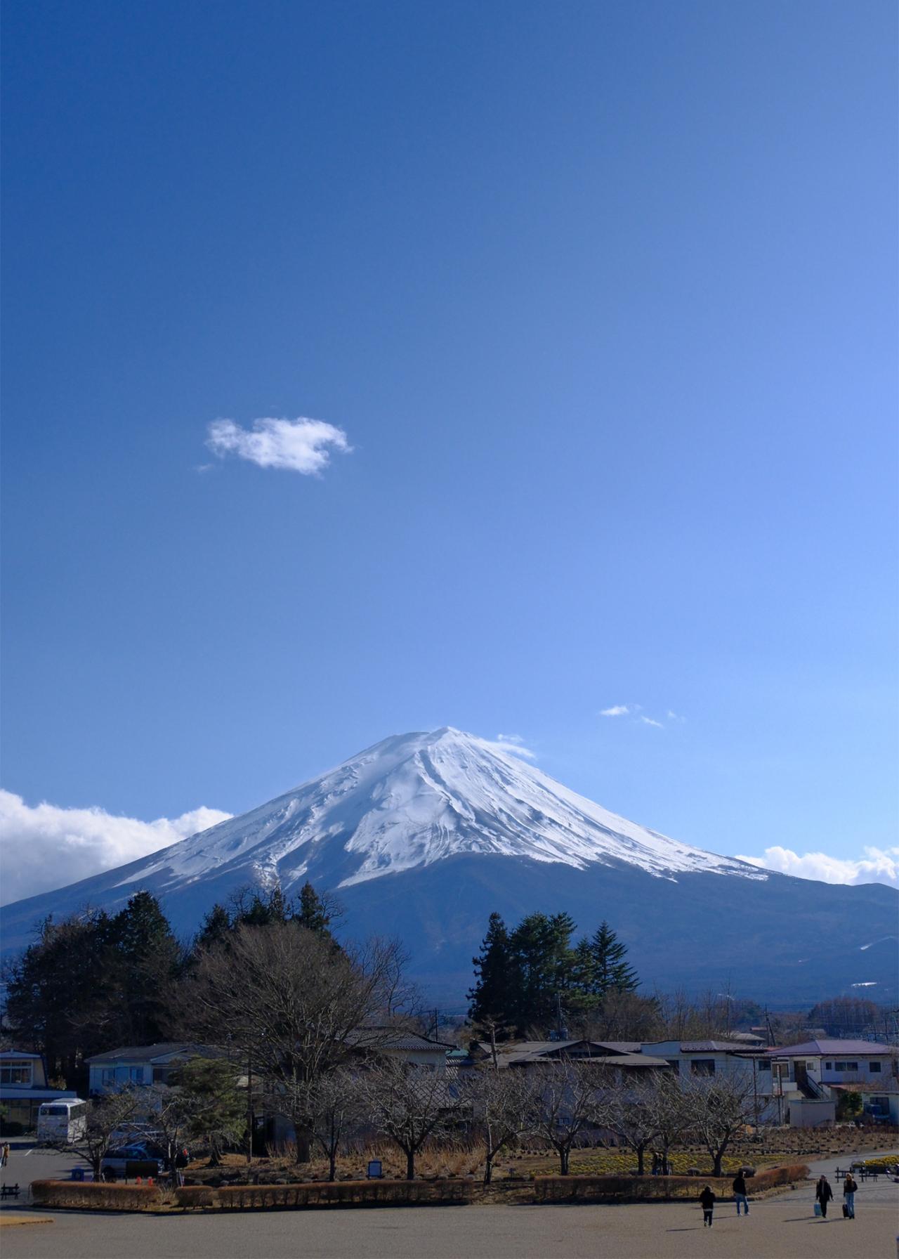 河口湖から見た富士山です。冬のよく晴れた日で、青い空とドーンとそびえる富士山があまりにも綺麗で、予定になかったのに引き寄せられるように立ち寄った時の写真です。（写真提供：土屋あすか）