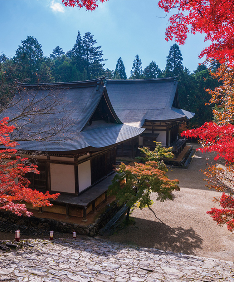 関西の紅葉7選！見頃を迎える京都の名刹＆関西の名所を訪ねる立冬の旅