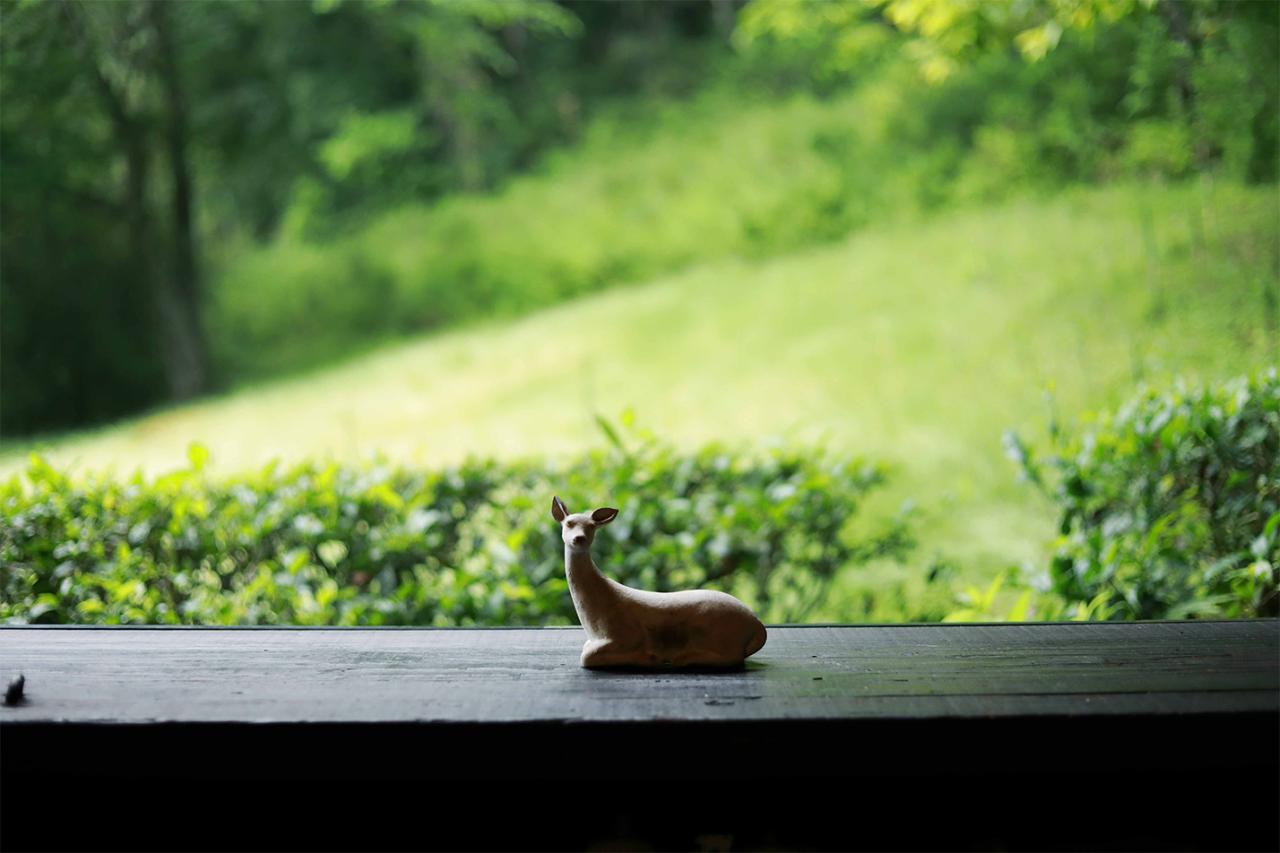 窓辺に静かに横たわる鹿は佐知子さんの作品。息づいているような温かみがあり、そっと撫でたくなる。