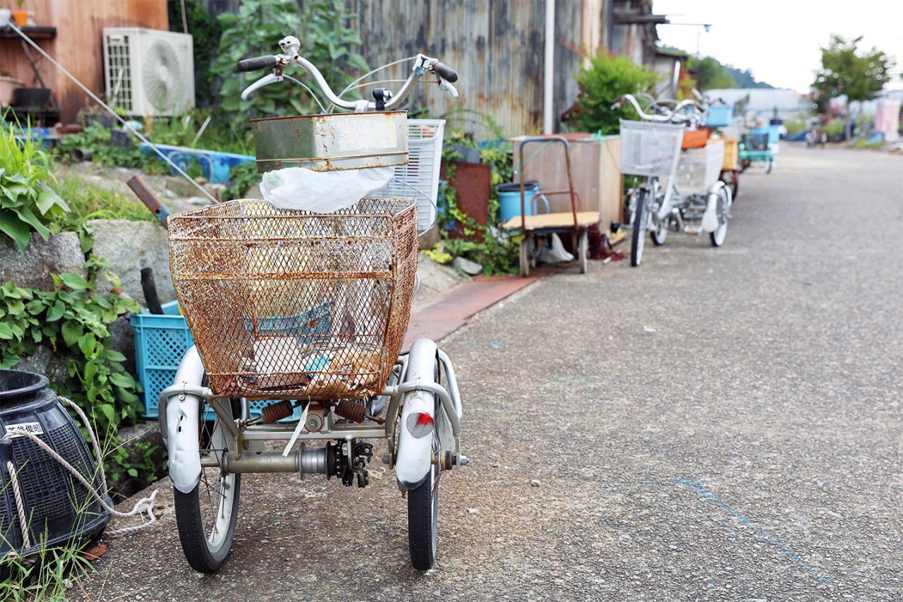 荷カゴがビールケースになっているものや、鮮やかなカラーリングのものなど、個性豊かな三輪自転車が見られる。